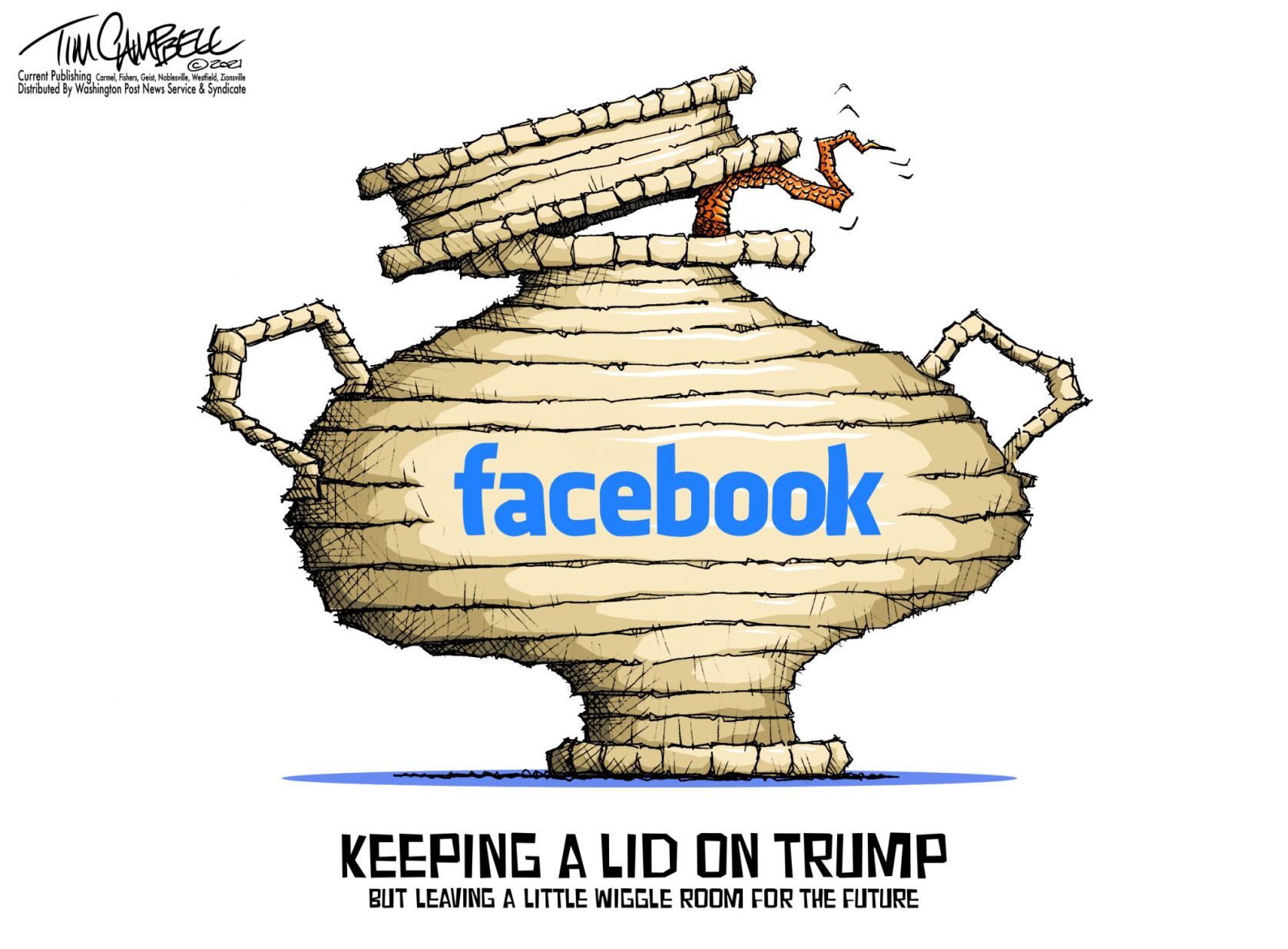 Tim Campbell cartoon